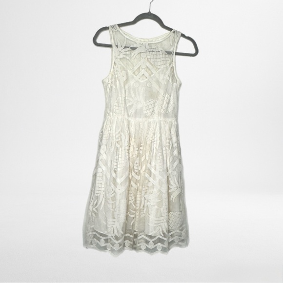 Anthropologie Pineapple Embroidered Mesh Dress White Ivory Sleeveless Boho sz 2 - Picture 3 of 5